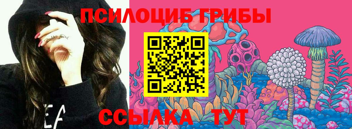 Галлюциногенные грибы MAGIC MUSHROOMS  Вход с VPN  Галлюциногенные грибы MAGIC MUSHROOMS  Трёхгорный 